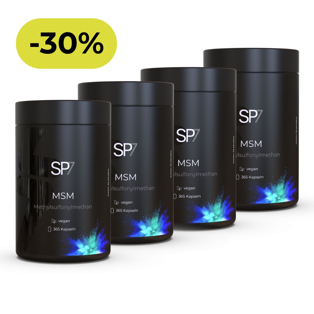 MSM Kapseln