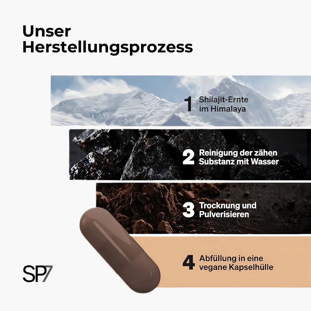 Shilajit Pro Capsules