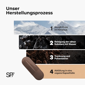 Shilajit Pro Capsules